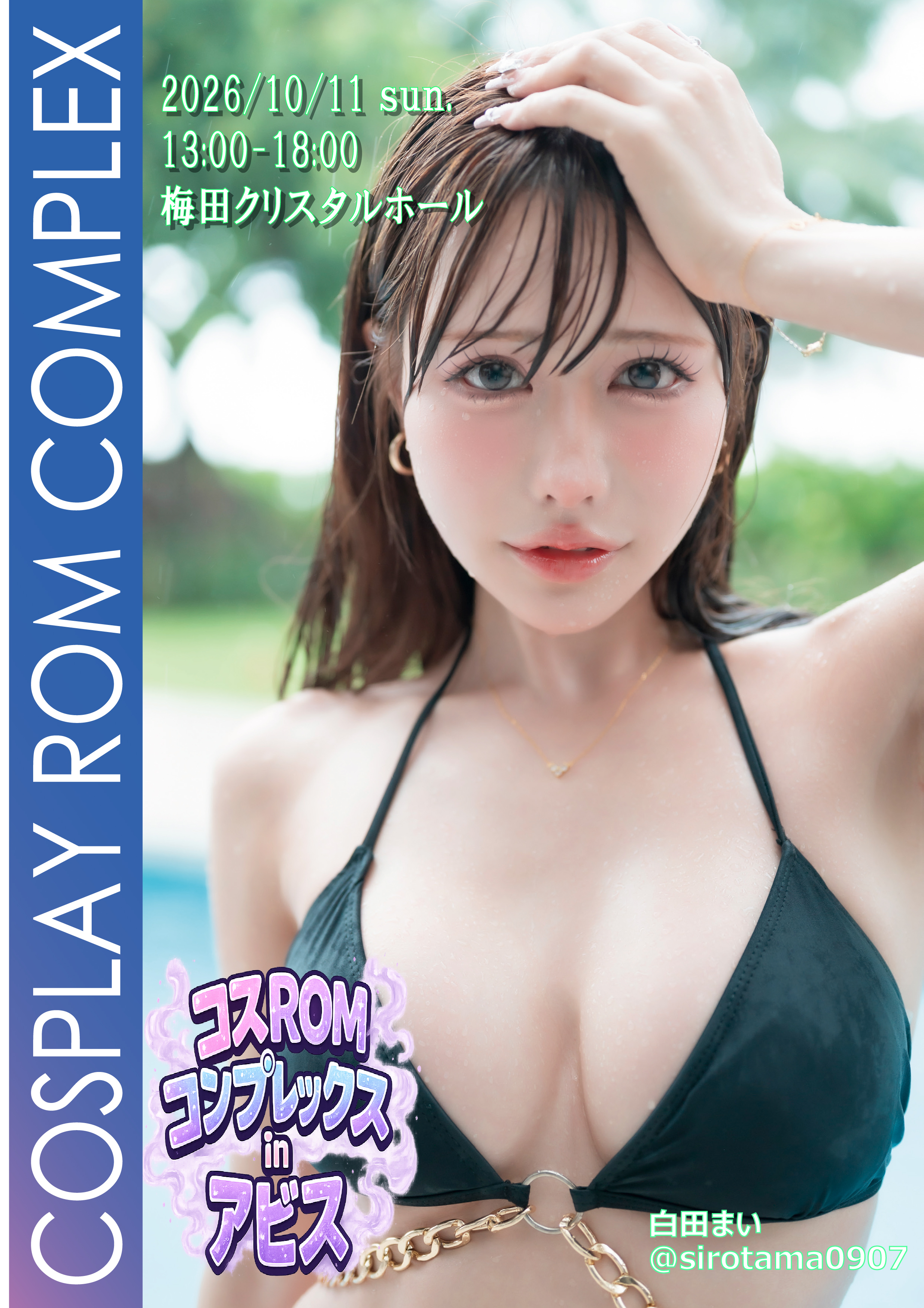 �R�XROM�R���v���b�N�X �R�X�v��ROM��������